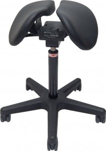 Salli_Professional